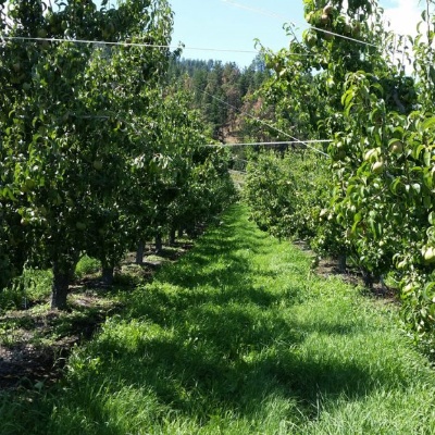 Hotmelt Fadenband in der Landwirtschaft